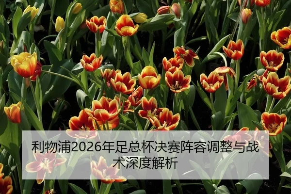 利物浦2026年足总杯决赛阵容调整与战术深度解析